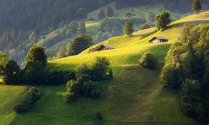 餐饮业例会议上呼喊的口号: 振兴餐饮业，创新发展，绿色健康，服务至上！