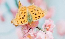 享受快乐，保持积极，感受幸福：一些让人振奋向上的开心句子