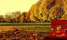 醉人浅秋时节，走进那些飘逸动人的唯美句子