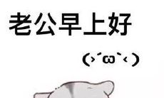 表达夫妻之间感情的句子，其中夸赞老公发红包的善举，展现其慷慨大方和温情厚爱