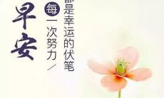 分享美好生活：每日早安朋友圈说说，传递生活温度，温暖你我心灵！