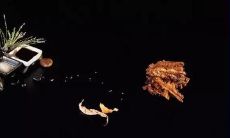 留下让人心寒、遗憾透露出姐妹之间失望情感的句子