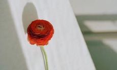 一个分手半年后的再联系：重新发短信问候、请求号码