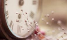 探索惊艳句子的文艺之旅：在知乎中寻觅创意灵感