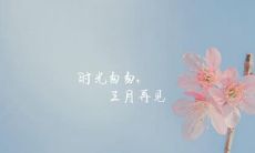 三月悄然离去，四月迎来喵与汪的互爱人间，回眸时，猫的雅致，狗的豁达，在文艺唯美的意境中洋溢着迎接新生活的喜悦