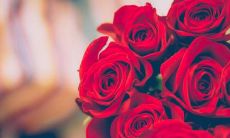 令人感到充满幸福和愉悦的欢乐语句