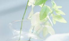 一百句让女性朋友开心的话，让她们感受到你的真心关爱和陪伴！