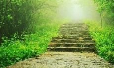 大学口号和队名：展现力量与荣耀的气势！