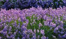 令人感动的句子回忆亲情，令人忆起那些温馨的时光