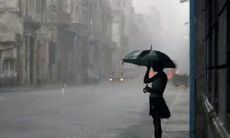 让我们在城市里迷失的沮丧情绪：表达城市失望的长句子