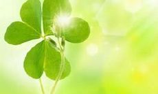 一份充满温馨和喜悦的幸福感言：倾听这些优美的句子，感受生活的美好经历！