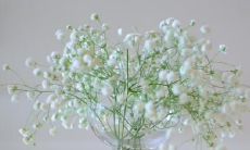 一份精选的唯美句子集，让你沉醉在幸福与快乐的世界中