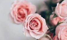 掏心掷爱的浪漫致命情话，让你的丈夫感动不已，并感到无尽的泪水涌上眼眶