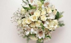 如何用短信发送问候来表达您的关心和情谊？