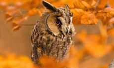 享受每一天，乐在其中：开心的生活态度