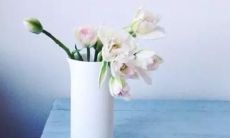 欢笑姐妹的快乐话语：一个令人愉悦的语言交流体验！