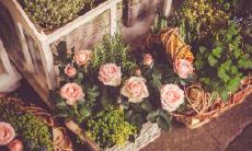 探究人类内心渴求的幸福感和喜悦情绪：希望每个人都能时刻享受开心的感觉！