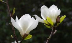 在友情关系中，不强迫对方投入的句子