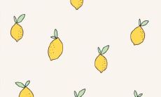 探究中国古诗词中赞美亲情主题的经典语句及其深刻内涵