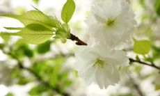 感谢客户光临的美食餐厅：致以最真挚的感恩之情！