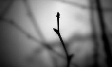 经历过一些挫折后，我对女朋友的看法发生了改变，开始有些失望和失落