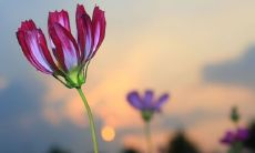 面对挫折时常用的励志名言或个人座右铭，探究其背后的哲理与意义