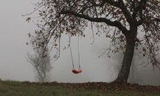 探讨亲人之间深厚情感的精美句子