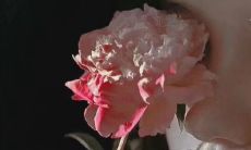 在追求胜利的道路上，获得第一名的感悟及人生启示