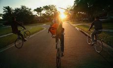 分享兄弟亲情的感言：用文字表达我内心的情感和体味