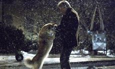 《忠犬八公的故事》中的经典台词，让人感受到忠诚、友情与爱的真实价值