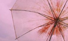 经过岁月沉淀的、散发内涵的、流露出失落情感的伤感句子