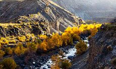 秋冬季节时期，为客户发送温馨问候短信的有效方式与技巧