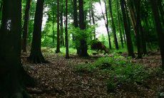 夏季周末短信问候客户，向他们传达温馨关怀与品牌价值！