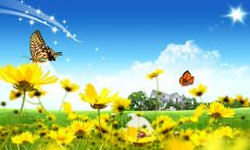 感恩万千，让我们学会珍惜——一系列具有感恩之心的句子