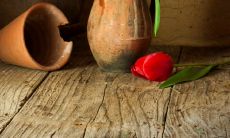 一堆打动人心的含义深刻句子，表达对生命、爱和幸福的无尽感激之情