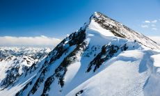 冠军之路：揭秘胜利的关键- 冠军球队的口号