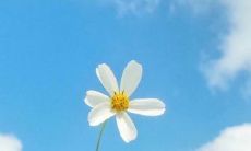 一些不理解感恩的话语和表达方式：如何理解和表达感谢之情？