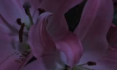 让你的冬天充满温馨感觉：一些适合情侣的短句！