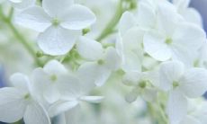 沁人心扉的唯美句子，表达珍贵的亲情与时间的关系