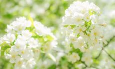 品鉴酒醉人心的小众精品酒，散发高级质感，给你带来无与伦比的霸气体验