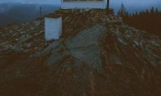 我的心已被撕碎：收录了让人心痛失望的一系列句子