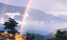 用牛年开头的祝福语：祝愿牛年开启全新征程，牛逼的幸福与成功，身体健康顺遂，事业光辉耀眼！