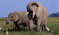 2022年愚人节来临！欢笑不断的朋友圈搞笑段子集锦，一起嗨翻这个特别的日子吧！