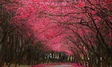 不要让人生短暂的数十年里，留下任何遗憾，珍惜当下每一个可能的机会和时刻