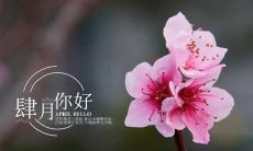 四月的美好将会带给你无限欣喜和温馨——感受时光如交响乐般美妙的唯美说说