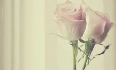 富有祝福的父亲节说说句子，感恩父亲的短言简语