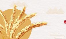 祝福短信：在芒种节气中向亲友送上真挚的祝福！