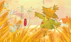 多样化的祝福语：用心传递的芒种祝福，让每个人感受到真挚的祝福之心！