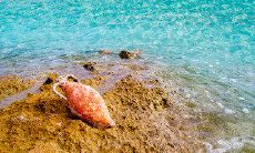 提供防寒保暖提示的问候短信，帮助你度过寒冷的季节