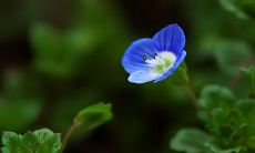 每一天都充满欢乐与快乐，愿你的生活里无处不是幸福和笑容